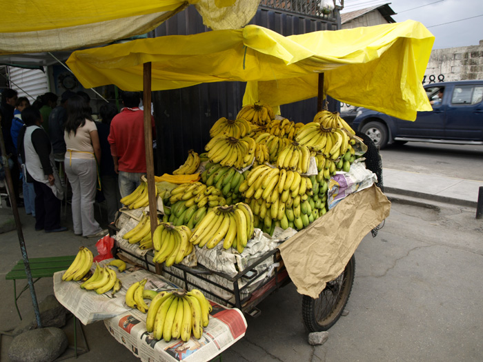 Peru 609